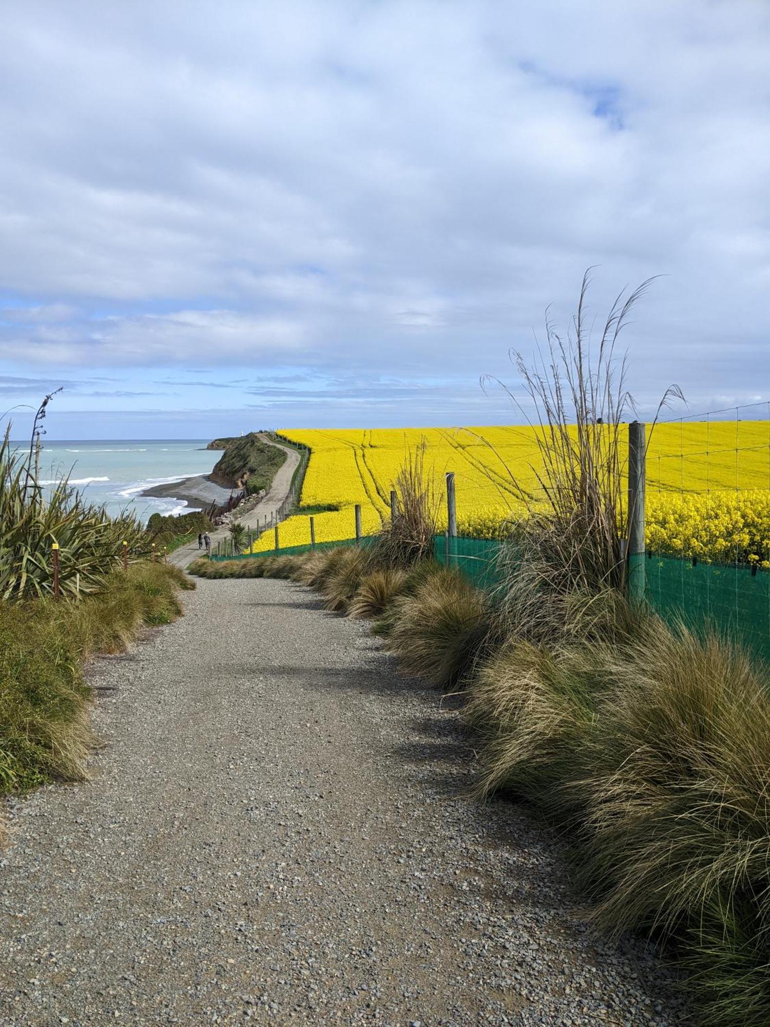 Kingsdown Manor B&B Timaru Exterior photo